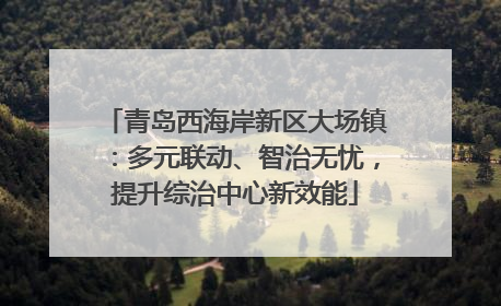 青岛西海岸新区大场镇：多元联动、智治无忧，提升综治中心新效能