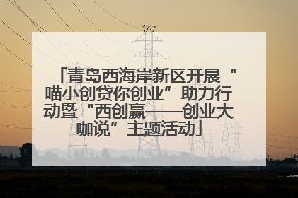 青岛西海岸新区开展“喵小创贷你创业”助力行动暨“西创赢——创业大咖说”主题活动