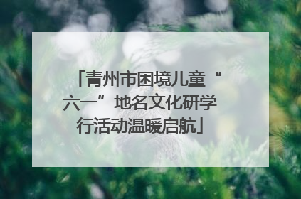 青州市困境儿童“六一”地名文化研学行活动温暖启航