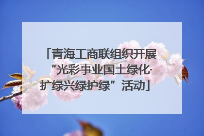 青海工商联组织开展“光彩事业国土绿化·扩绿兴绿护绿”活动
