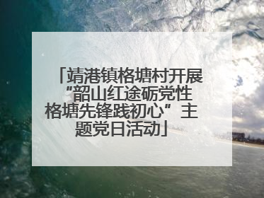 靖港镇格塘村开展“韶山红途砺党性 格塘先锋践初心”主题党日活动