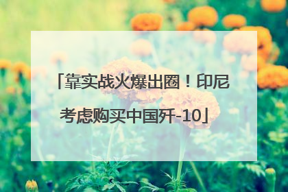 靠实战火爆出圈！印尼考虑购买中国歼-10