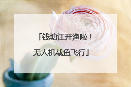 钱塘江开渔啦！无人机载鱼飞行
