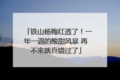 铁山杨梅红透了！一年一遇的酸甜风暴 再不来就真错过了