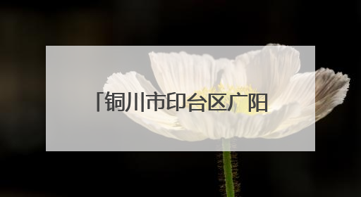 铜川市印台区广阳镇：众志成城战旱情 守护农田保民生