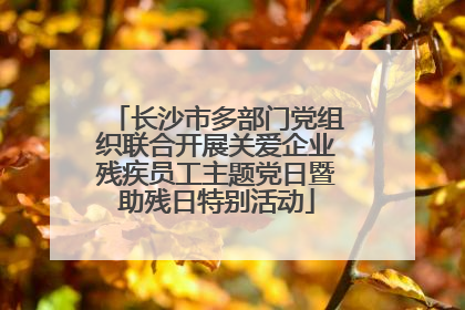 长沙市多部门党组织联合开展关爱企业残疾员工主题党日暨助残日特别活动
