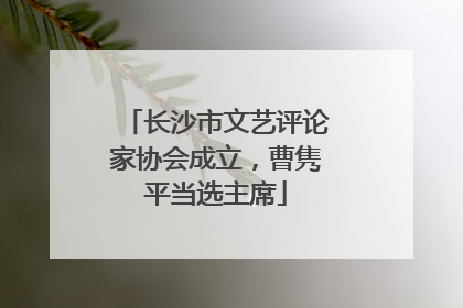 长沙市文艺评论家协会成立，曹隽平当选主席