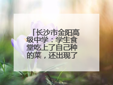 长沙市金阳高级中学：学生食堂吃上了自己种的菜，还出现了一批劳动能手