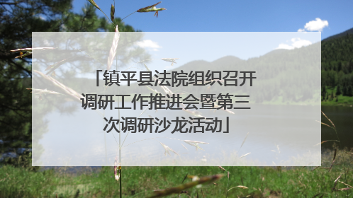 镇平县法院组织召开调研工作推进会暨第三次调研沙龙活动