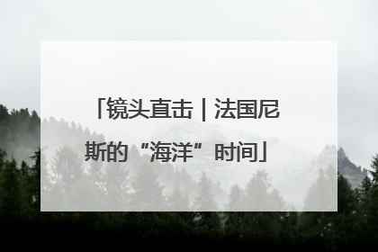 镜头直击｜法国尼斯的“海洋”时间