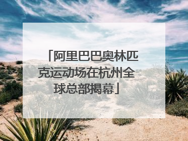 阿里巴巴奥林匹克运动场在杭州全球总部揭幕