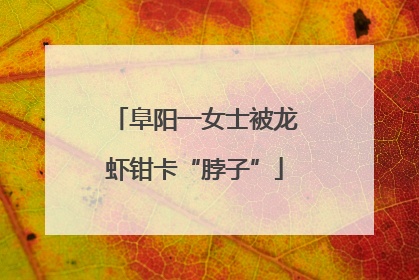 阜阳一女士被龙虾钳卡“脖子”