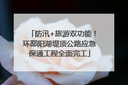 防汛+旅游双功能！环鄱阳湖堤顶公路应急保通工程全面完工