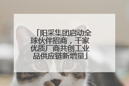 阳采集团启动全球伙伴招商，千家优质厂商共创工业品供应链新增量