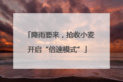 降雨要来，抢收小麦开启“倍速模式”