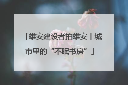 雄安建设者拍雄安丨城市里的“不眠书房”