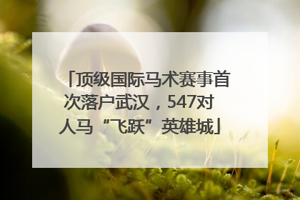 顶级国际马术赛事首次落户武汉，547对人马“飞跃”英雄城