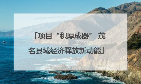 项目“积厚成器” 茂名县域经济释放新动能