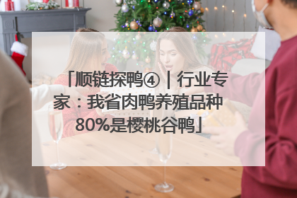 顺链探鸭④｜行业专家：我省肉鸭养殖品种80%是樱桃谷鸭