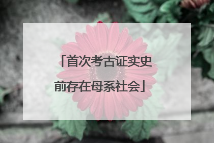 首次考古证实史前存在母系社会