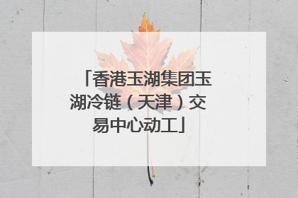 香港玉湖集团玉湖冷链（天津）交易中心动工