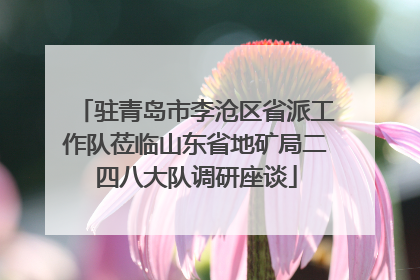 驻青岛市李沧区省派工作队莅临山东省地矿局二四八大队调研座谈