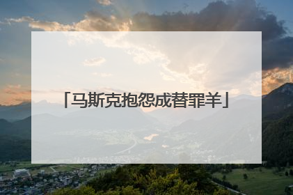 马斯克抱怨成替罪羊