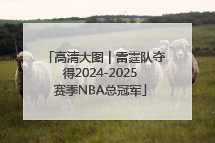 高清大图｜雷霆队夺得2024-2025赛季NBA总冠军