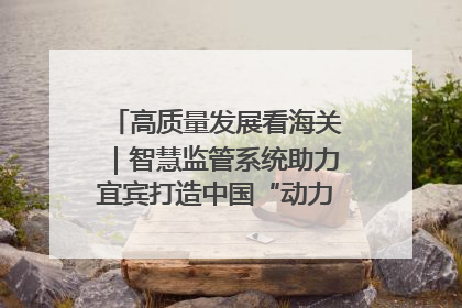 高质量发展看海关｜智慧监管系统助力宜宾打造中国“动力电池之都”