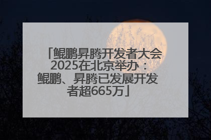 鲲鹏昇腾开发者大会2025在北京举办：鲲鹏、昇腾已发展开发者超665万