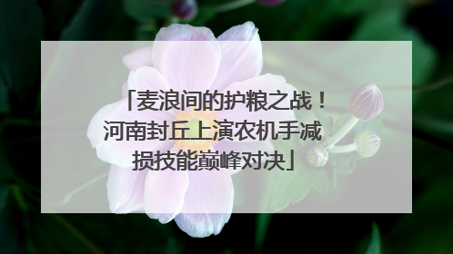 麦浪间的护粮之战！河南封丘上演农机手减损技能巅峰对决