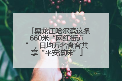 黑龙江哈尔滨这条660米“网红街道”，日均万名食客共享“平安滋味”