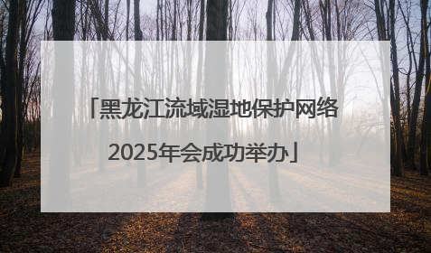 黑龙江流域湿地保护网络2025年会成功举办