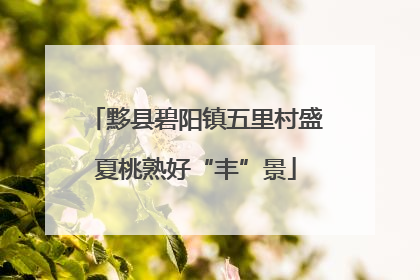黟县碧阳镇五里村盛夏桃熟好“丰”景