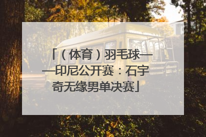 （体育）羽毛球——印尼公开赛：石宇奇无缘男单决赛
