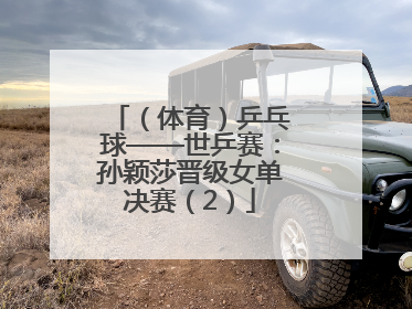（体育）乒乓球——世乒赛：孙颖莎晋级女单决赛（2）