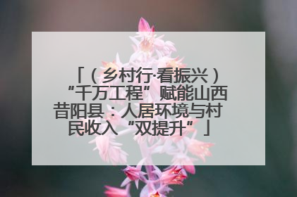 （乡村行·看振兴）“千万工程”赋能山西昔阳县：人居环境与村民收入“双提升”