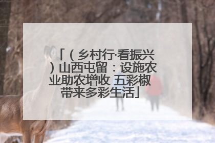 （乡村行·看振兴）山西屯留：设施农业助农增收 五彩椒带来多彩生活
