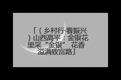 （乡村行·看振兴）山西高平：金银花里采“金银” 花香溢满致富路