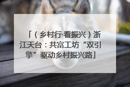 （乡村行·看振兴）浙江天台：共富工坊“双引擎”驱动乡村振兴路