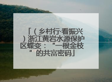 （乡村行·看振兴）浙江黄岩水源保护区蝶变：“一根金枝”的共富密码