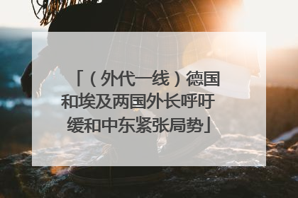 （外代一线）德国和埃及两国外长呼吁缓和中东紧张局势