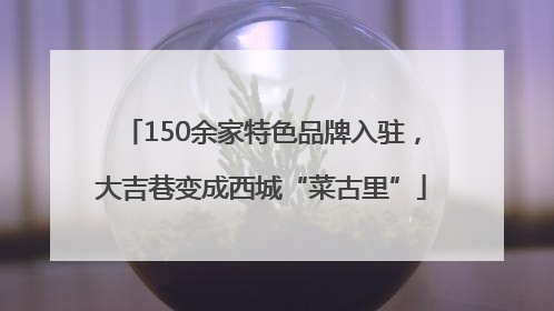 150余家特色品牌入驻，大吉巷变成西城“菜古里”