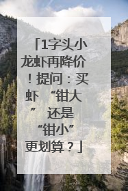 1字头小龙虾再降价！提问：买虾 “钳大” 还是 “钳小” 更划算？