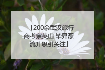 200余武汉旅行商考察英山 毕昇漂流升级引关注