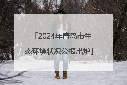 2024年青岛市生态环境状况公报出炉