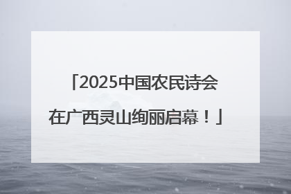 2025中国农民诗会在广西灵山绚丽启幕！