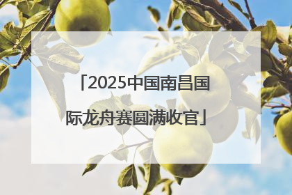 2025中国南昌国际龙舟赛圆满收官