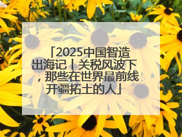 2025中国智造出海记丨关税风波下，那些在世界最前线开疆拓土的人