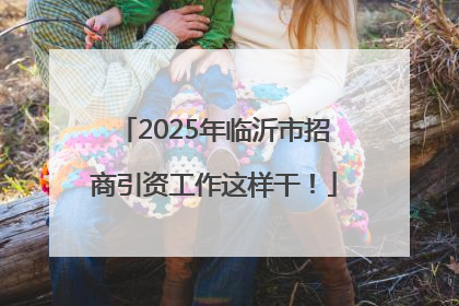2025年临沂市招商引资工作这样干！